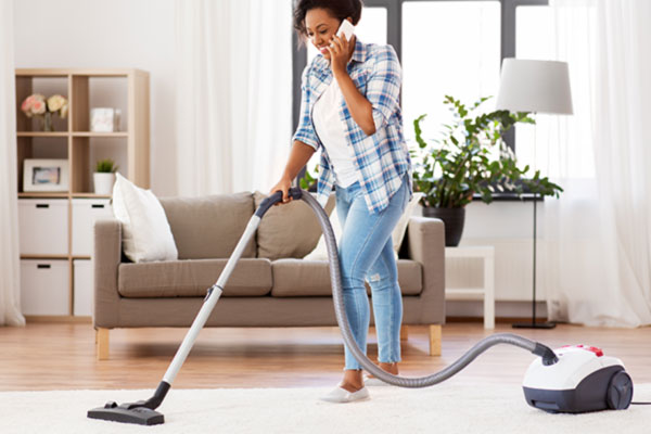 How do you get rid of bed bugs in your carpet?
